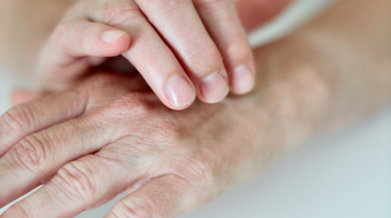 Birgit von Spee – PEP